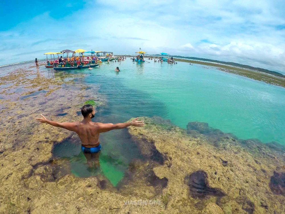 Transfer Maceio para maragogi